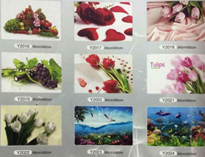 flower and fruit series kitchen oil sticker